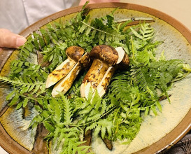 Dinner at Hiyama (樋山)