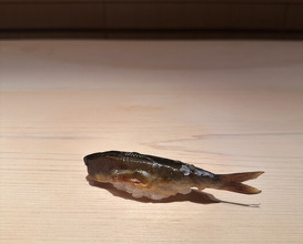 Dinner at Sushi Ikkou (鮨 一幸)