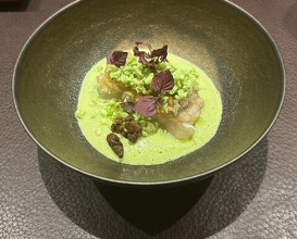 Dinner at il AOYAMA (イル アオヤマ)