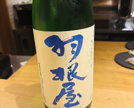 Dinner at Ippongi Ishibashi