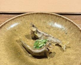 Dinner at Kagurazaka Ishikawa