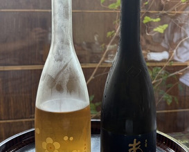 Dinner at Oryori Ittou (御料理 一燈)