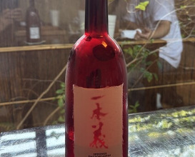 Dinner at Oryori Ittou (御料理 一燈)
