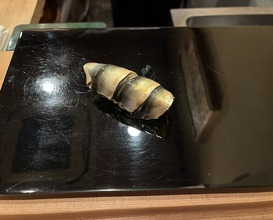 Dinner at Jinsei