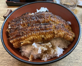 Dinner at Kabuto (かぶと)
