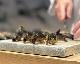 Dinner at Dogo Kaishu (道後 海舟)