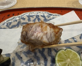 Dinner at Dogo Kaishu (道後 海舟)