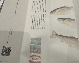 Dinner at Dogo Kaishu (道後 海舟)