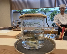 Dinner at Dogo Kaishu (道後 海舟)
