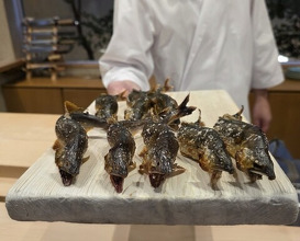 Dinner at Dogo Kaishu (道後 海舟)