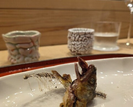 Dinner at Dogo Kaishu (道後 海舟)