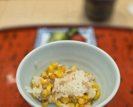Dinner at Dogo Kaishu (道後 海舟)