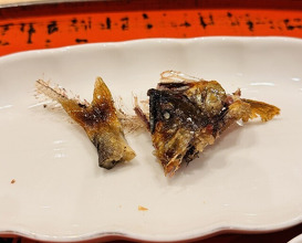 Dinner at Dogo Kaishu (道後 海舟)
