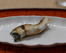 Dinner at Dogo Kaishu (道後 海舟)