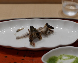 Dinner at Dogo Kaishu (道後 海舟)