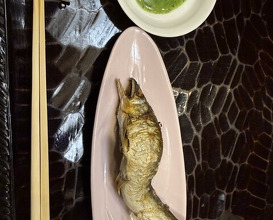 Dinner at Dogo Kaishu (道後 海舟)