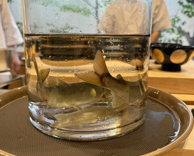 Dinner at Dogo Kaishu (道後 海舟)