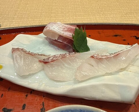 Dinner at Dogo Kaishu (道後 海舟)