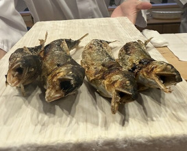 Dinner at Dogo Kaishu (道後 海舟)