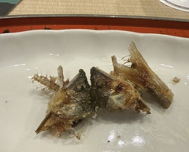 Dinner at Dogo Kaishu (道後 海舟)