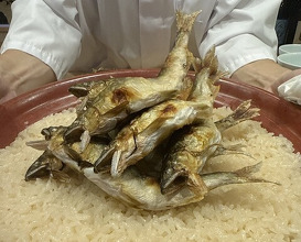 Dinner at Dogo Kaishu (道後 海舟)