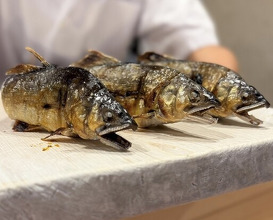 Dinner at Dogo Kaishu (道後 海舟)