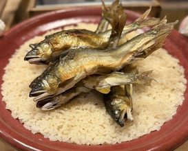 Dinner at Dogo Kaishu (道後 海舟)