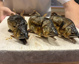 Dinner at Dogo Kaishu (道後 海舟)