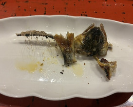 Dinner at Dogo Kaishu (道後 海舟)