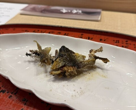 Dinner at Dogo Kaishu (道後 海舟)