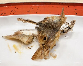 Dinner at Dogo Kaishu (道後 海舟)