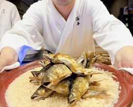 Dinner at Dogo Kaishu (道後 海舟)