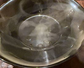 Dinner at kanjo