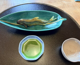 Dinner at Kashiwaya Osaka Senriyama