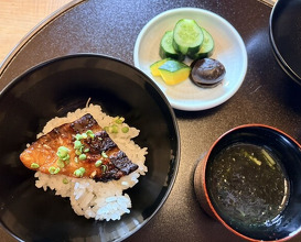 Dinner at Kashiwaya Osaka Senriyama