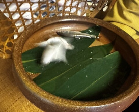 Dinner at Kikuno I Honten (菊乃井 本店)