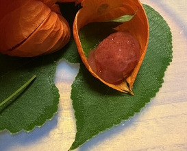 Dinner at Kikuno I Honten (菊乃井 本店)
