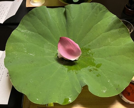 Dinner at Kikuno I Honten (菊乃井 本店)