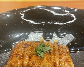 Dinner at Kitanozaka Kinoshita