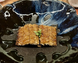 Dinner at Kitanozaka Kinoshita