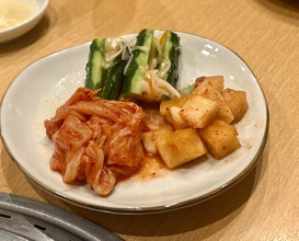 Dinner at Sumiyaki Kinryusan (炭焼 金竜山)