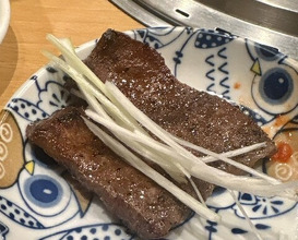 Dinner at Sumiyaki Kinryusan (炭焼 金竜山)