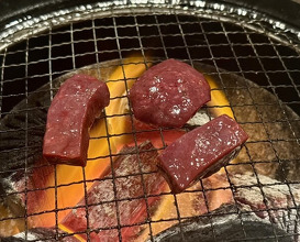 Dinner at Sumiyaki Kinryusan (炭焼 金竜山)