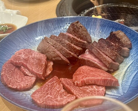 Dinner at Sumiyaki Kinryusan (炭焼 金竜山)