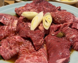 Dinner at Sumiyaki Kinryusan (炭焼 金竜山)