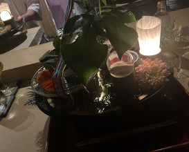 Dinner at Ginza Kitagawa