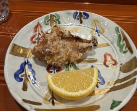 Dinner at Ginza Kitagawa