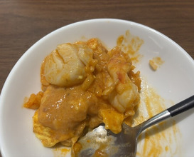 Dinner at kitchen Toshiki (kitchen俊貴)