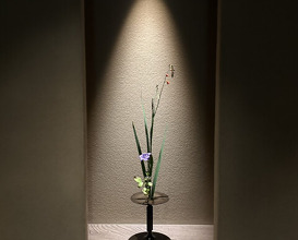 Dinner at Kiyama (木山)