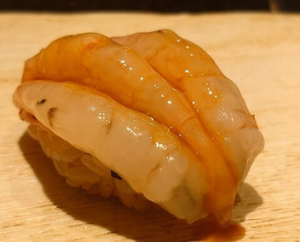 Dinner at Sushi Kizuna (鮓 きずな)
